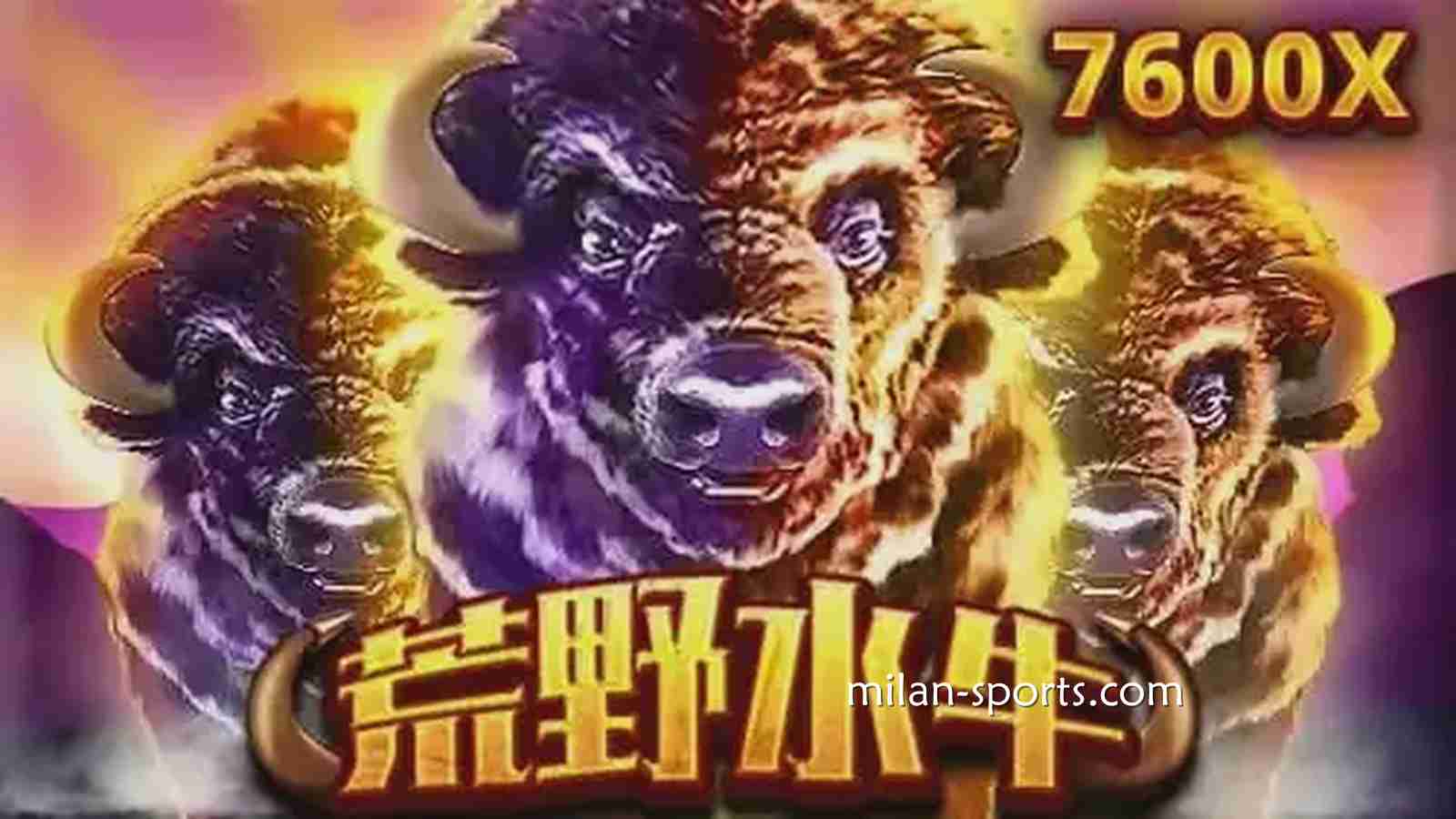 《荒野水牛》游戏，带你体验草原的狂野与激情